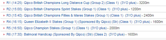 bgturf champion stakes