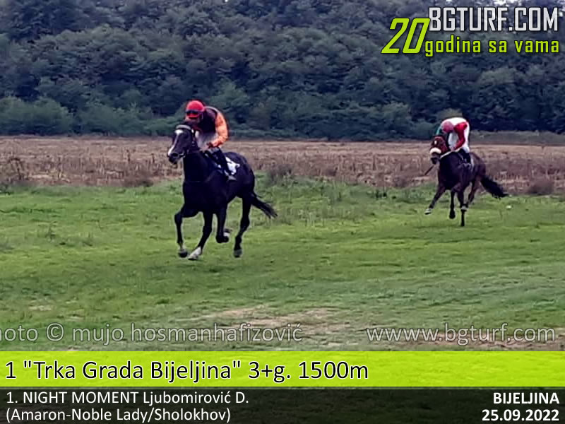 bgturf bijeljina