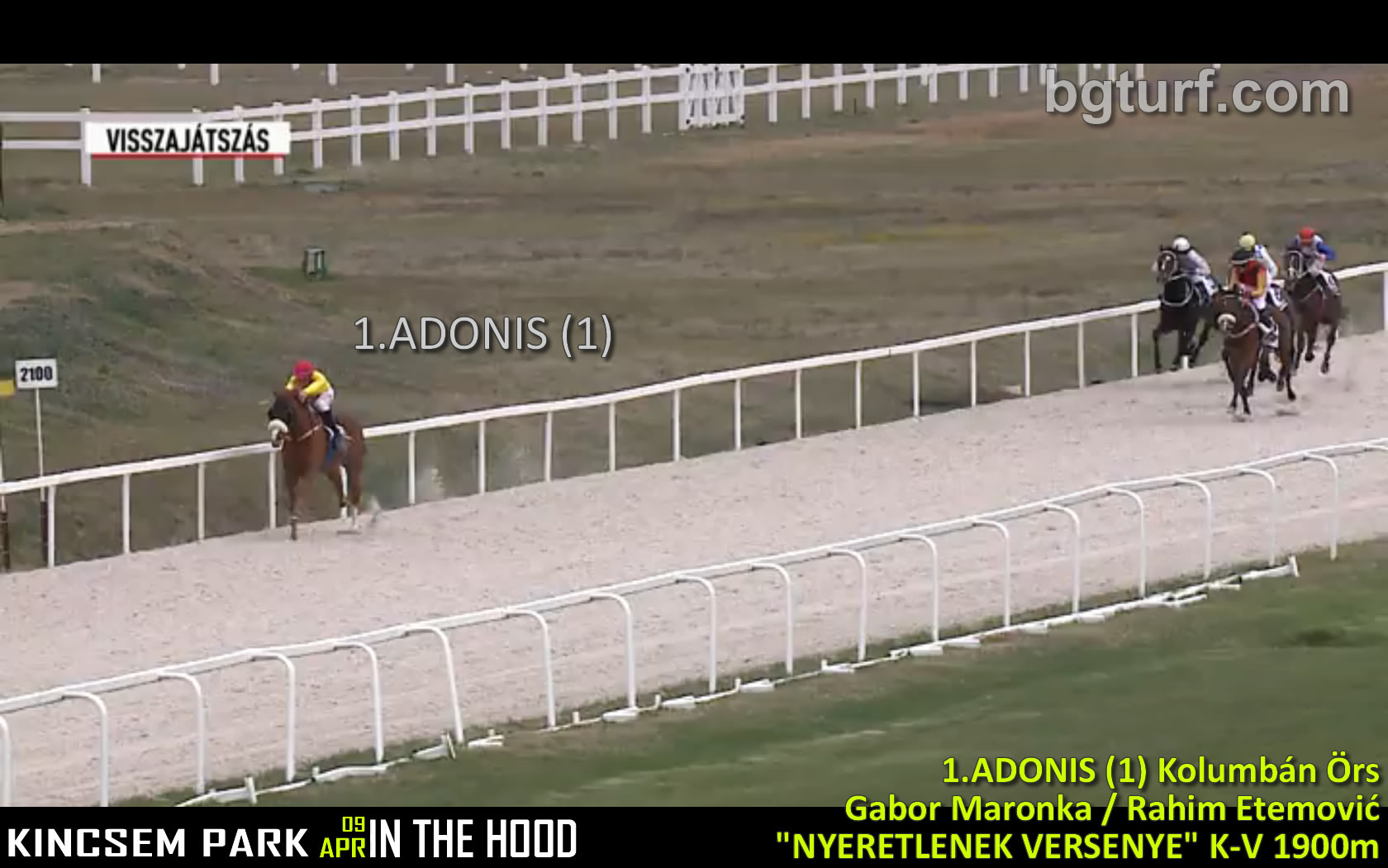 bgturf maronka etemovic adonis