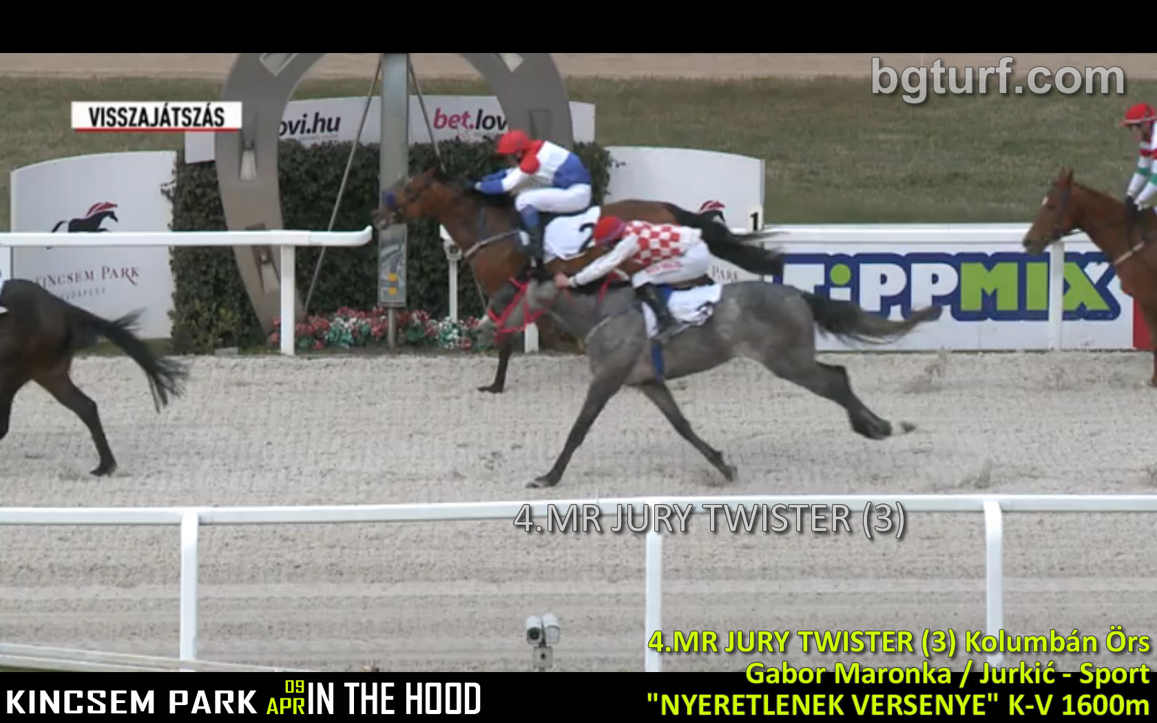 bgturf mr jury twister maronka jurkić