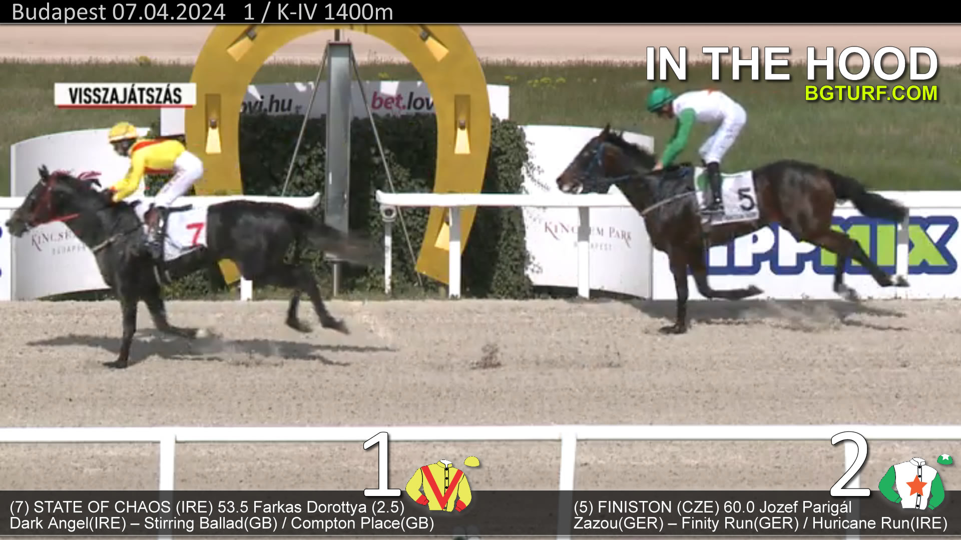 bgturf antilop zevnik