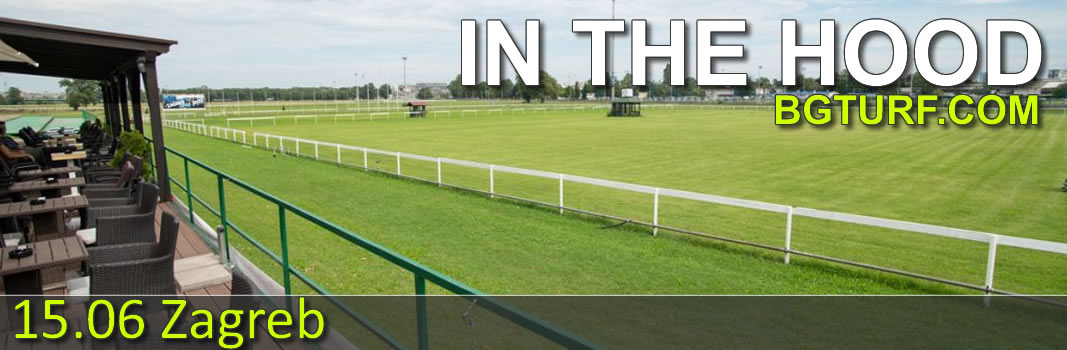 bgturf live race races gallop