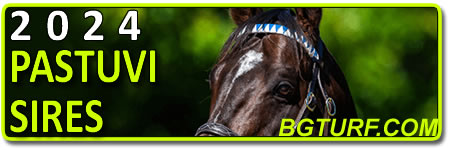 bgturf babolna pastuv pastuvi stallions stallion sire stud